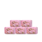 Queen Ultra Thin Sanitary Napkin - 5 Pack Combo