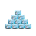 Queen Glory Ultra Thin Sanitary Napkin - 10 Pack Combo