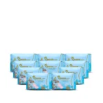 Queen Glory Ultra Thin Sanitary Napkin - 10 Pack Combo